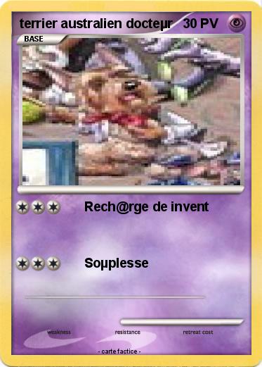 Pokemon terrier australien docteµr