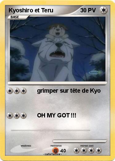 Pokemon Kyoshiro et Teru