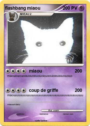 Pokemon flashbang miaou