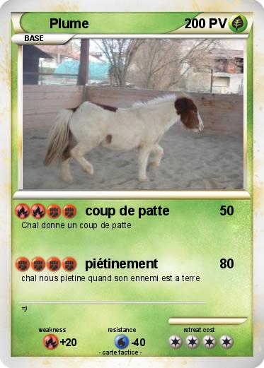 Pokemon Plume