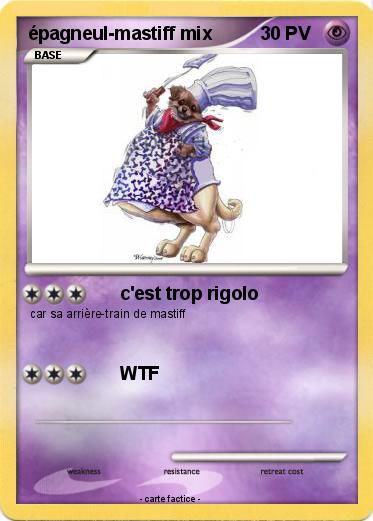 Pokemon épagneul-mastiff mix