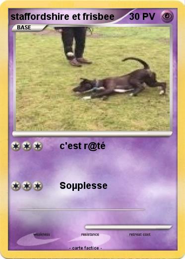 Pokemon staffordshire et frisbee