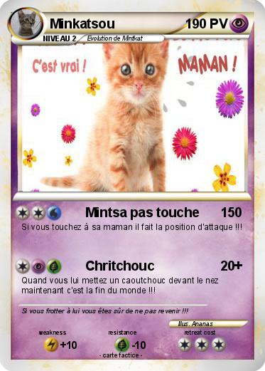 Pokemon Minkatsou