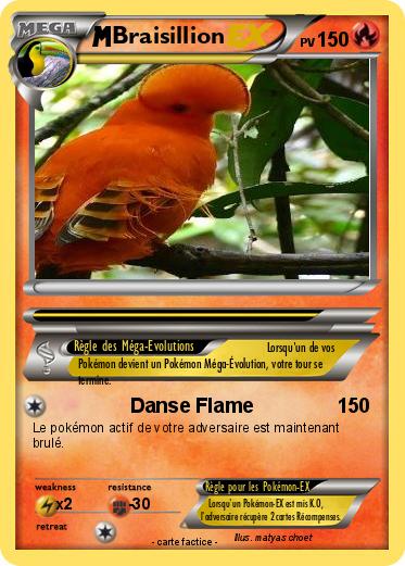Pokemon Braisillion