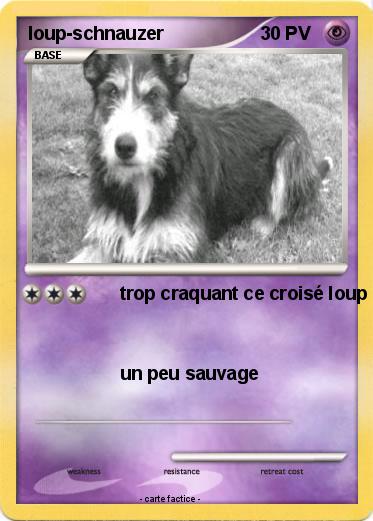 Pokemon loup-schnauzer