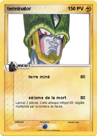 Pokemon terminator
