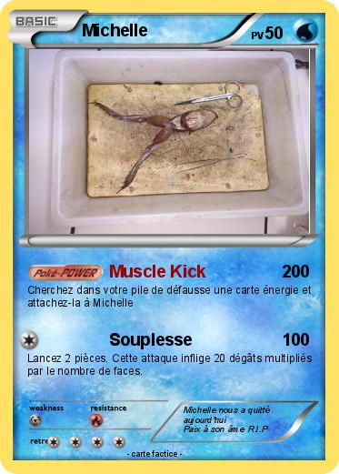 Pokemon Michelle