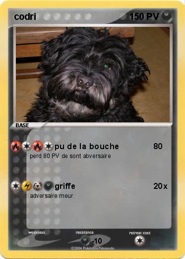 Pokemon codri