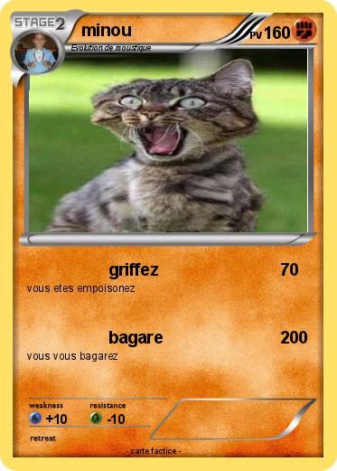 Pokemon minou