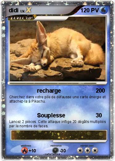 Pokemon didi