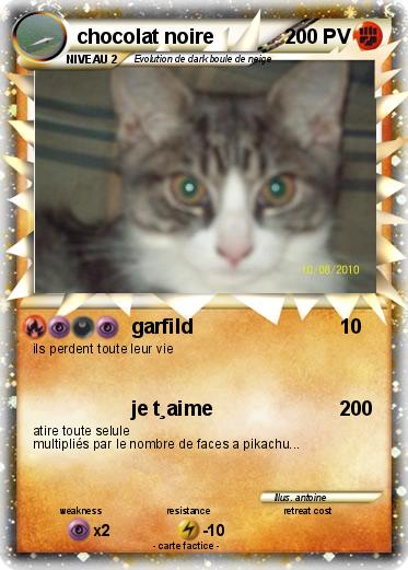 Pokemon chocolat noire