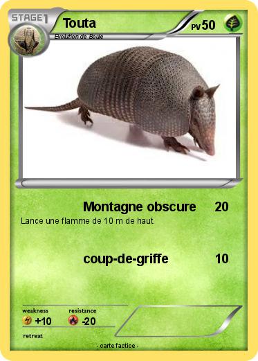 Pokemon Touta