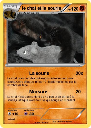Pokemon Le Chat Et La Souris 1