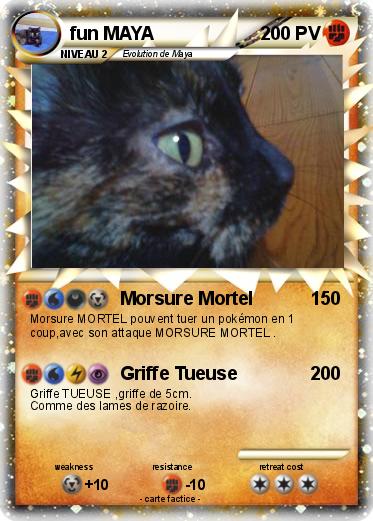 Pokemon fun MAYA
