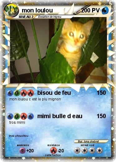 Pokemon mon loulou