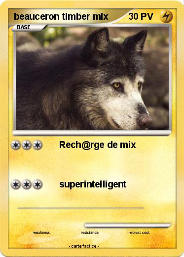Pokemon beauceron timber mix