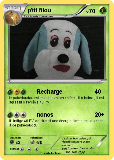 Pokemon p'tit filou