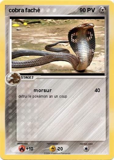 Pokemon cobra faché