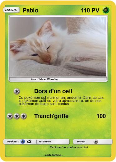 Pokemon Pablo