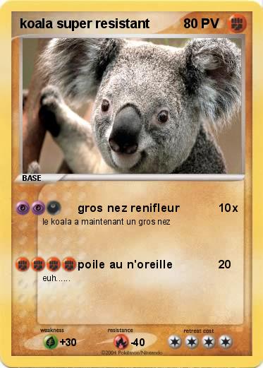 Pokemon koala super resistant