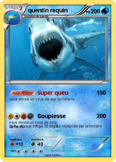 Pokemon quentin requin