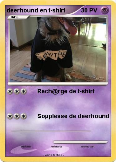 Pokemon deerhound en t-shirt