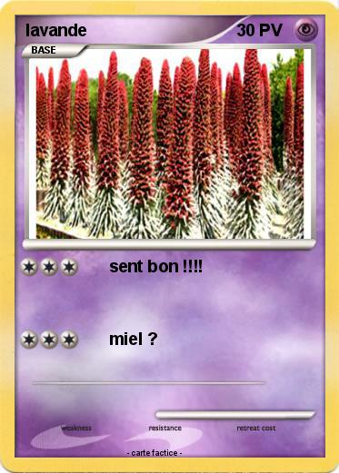 Pokemon lavande