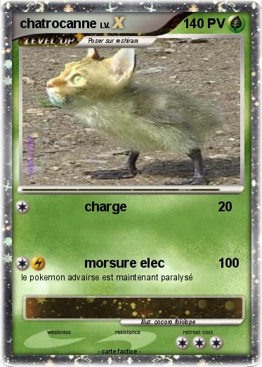 Pokemon chatrocanne