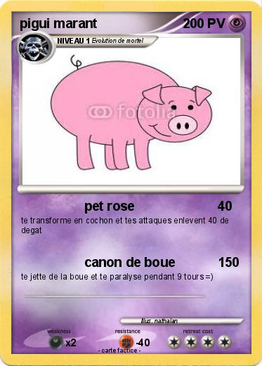 Pokemon pigui marant