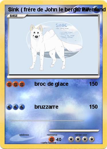 Pokemon Sink ( frère de John le berger allemand )