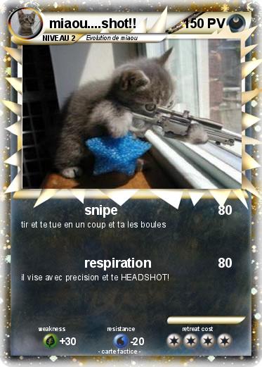 Pokemon miaou....shot!!