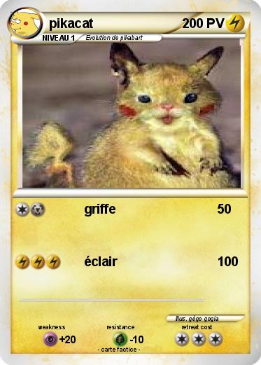 Pokemon pikacat