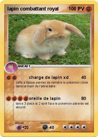 Pokemon lapin combattant royal