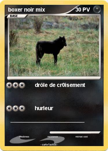 Pokemon boxer noir mix