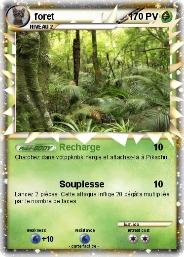 Pokemon foret