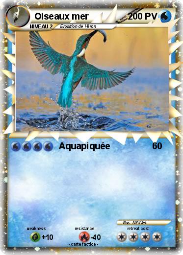 Pokemon Oiseaux mer