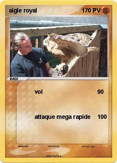 Pokemon aigle royal