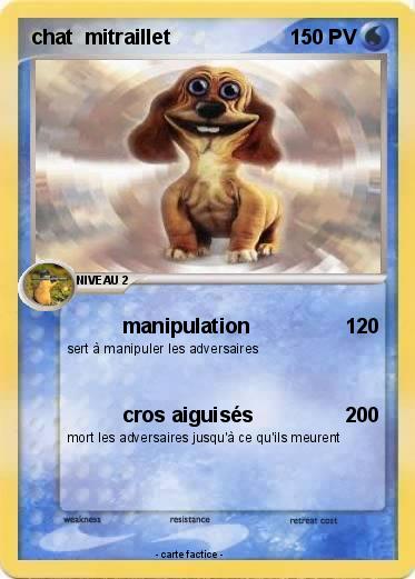 Pokemon chat  mitraillet