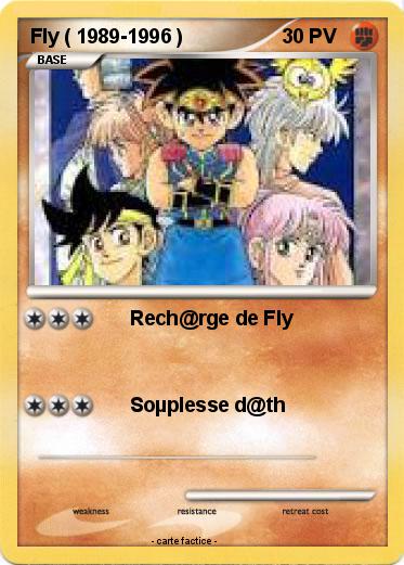 Pokemon Fly ( 1989-1996 )