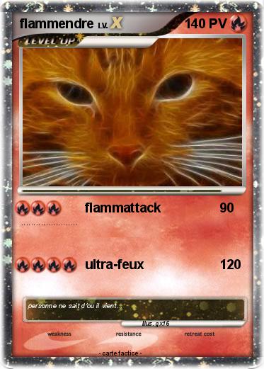 Pokemon flammendre