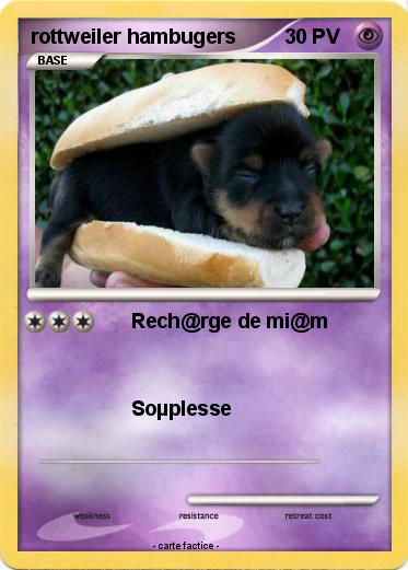 Pokemon rottweiler hambugers