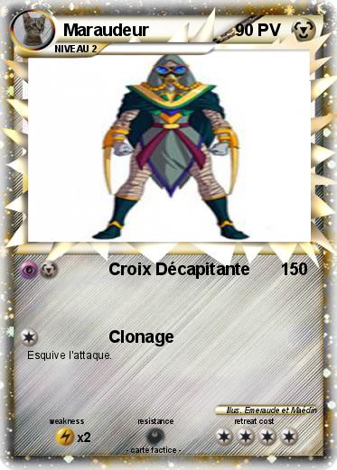 Pokemon Maraudeur