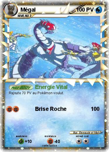 Pokemon Mégal