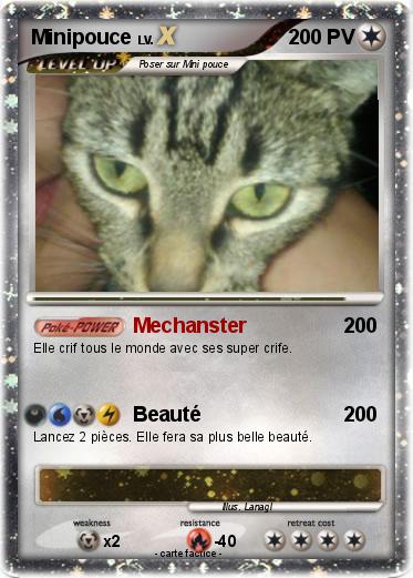 Pokemon Minipouce