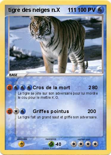 Pokemon tigre des neiges n.X     111 