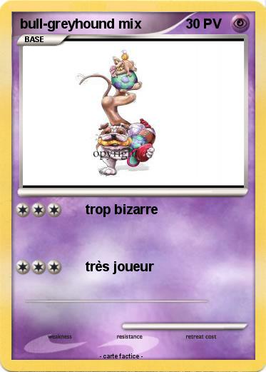 Pokemon bull-greyhound mix