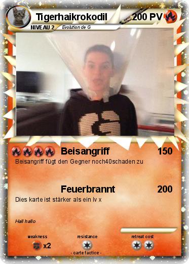 Pokemon Tigerhaikrokodil