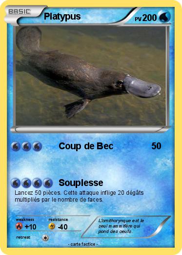 Pokemon Platypus