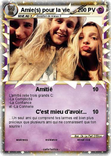 Pokemon Amie(s) pour la vie