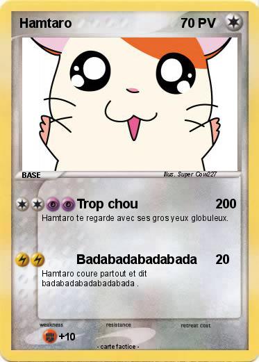 Pokemon Hamtaro